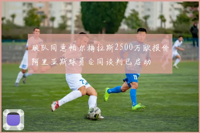 狼队同意帕尔梅拉斯2500万欧报价阿里亚斯球员合同谈判已启动