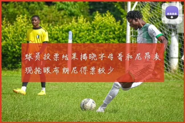 球员投票结果揭晓字母哥和尼昂表现抢眼布朗尼得票较少