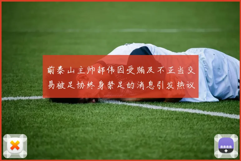 前泰山主帅郝伟因受贿及不正当交易被足协终身禁足的消息引发热议