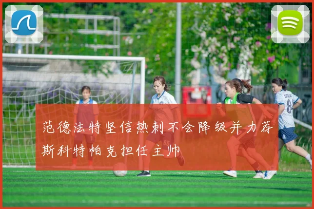 范德法特坚信热刺不会降级并力荐斯科特帕克担任主帅