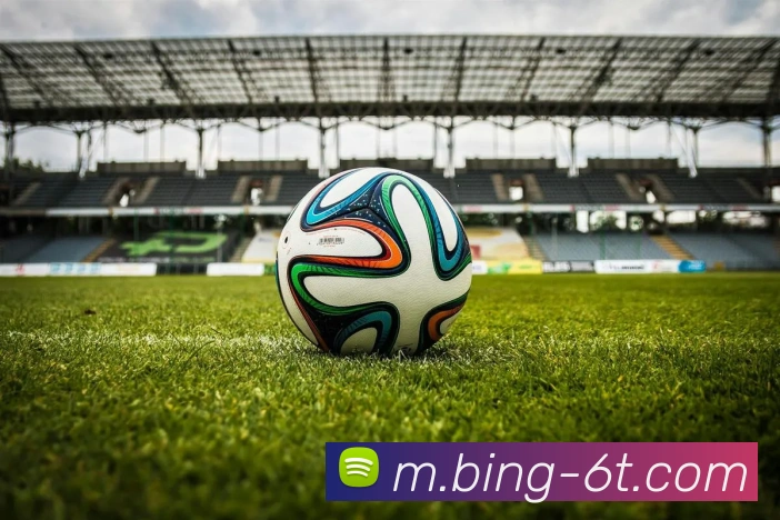 6T体育平台生态图